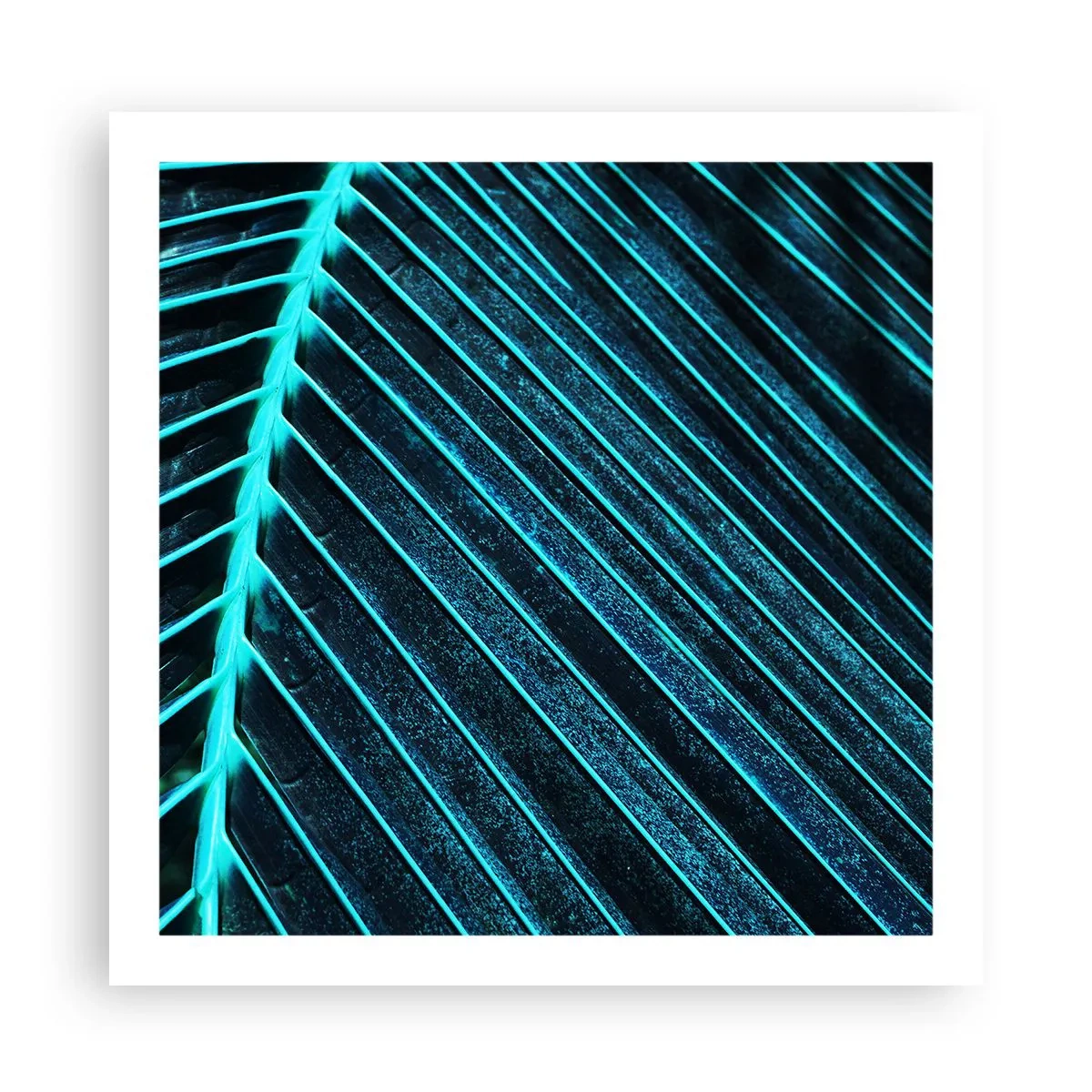 Poster - Groene textuur - 60x60 cm