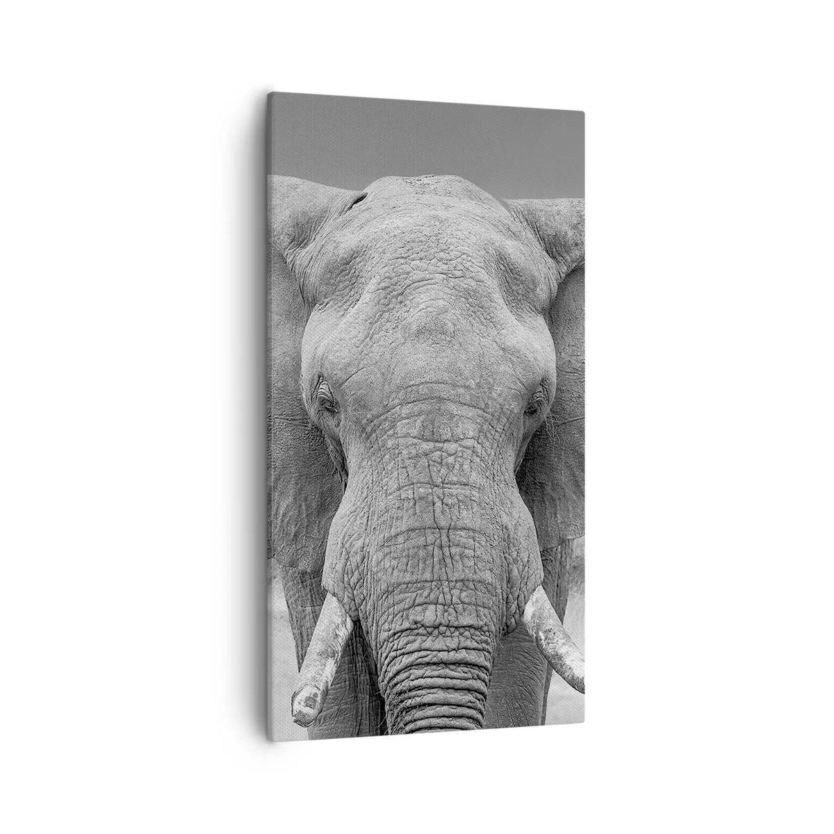 Schilderen op canvas - Welkom in mijn wereld - 55x100 cm