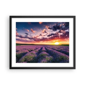Poster in een zwarte lijst - Lavendel wereld - 50x40 cm