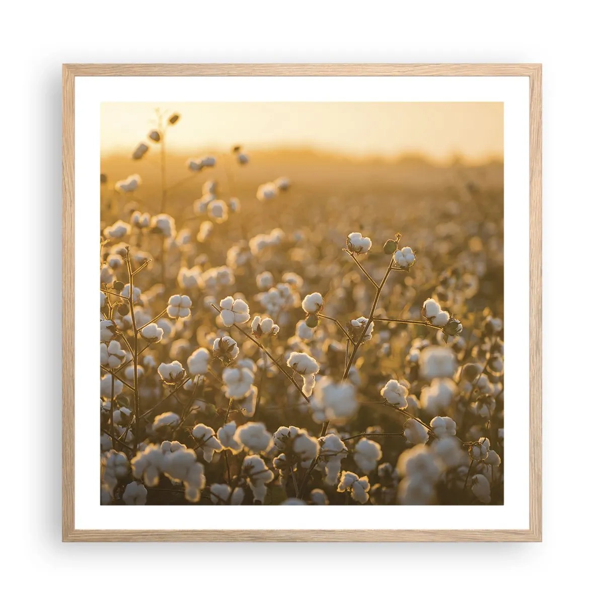 Een poster in een licht eiken lijst - Pluizig veld - 60x60 cm