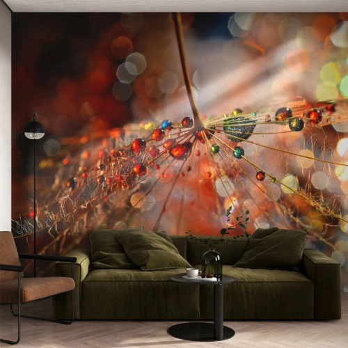 Fotobehang Premium Sand - Geregen op een spinnendraad - Abstractie, spinnenweb, Deel - 400x280 cm