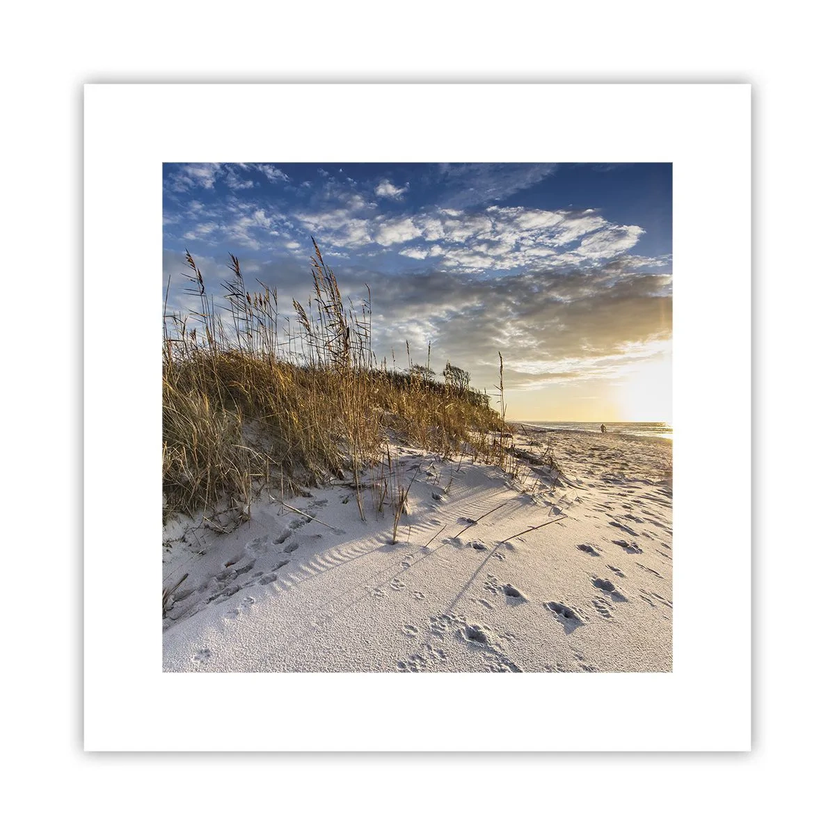 Poster - Een uitnodiging voor een wandeling - 30x30 cm