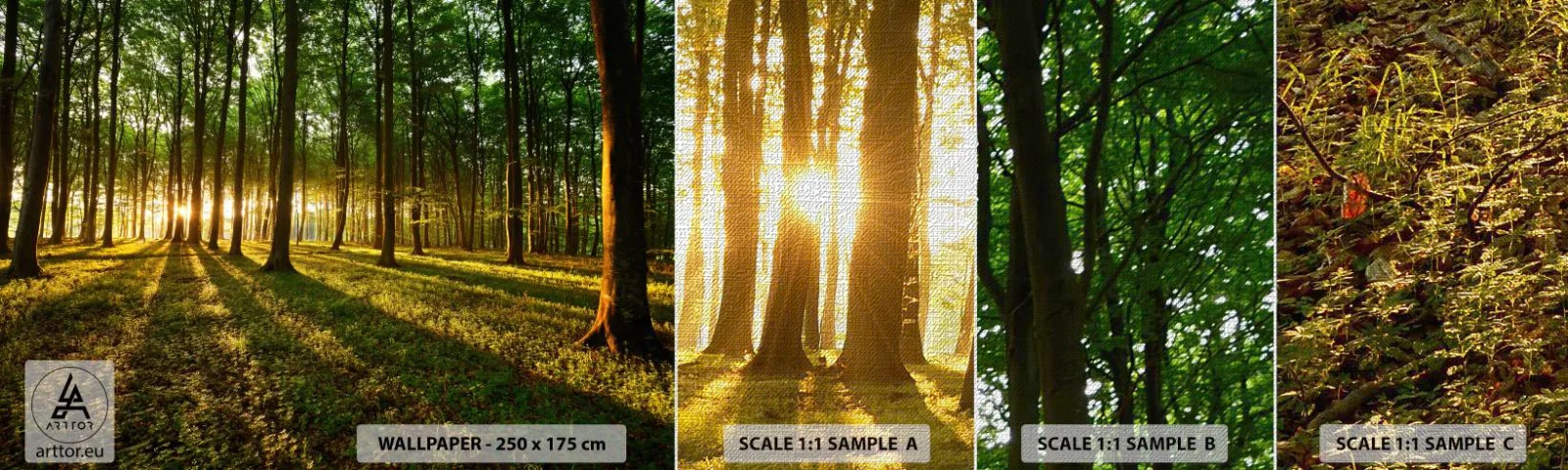 Fotobehang Monster Premium Canvas - Foto van de hele lente - Landschap, Woud, Natuur - 100x30 cm