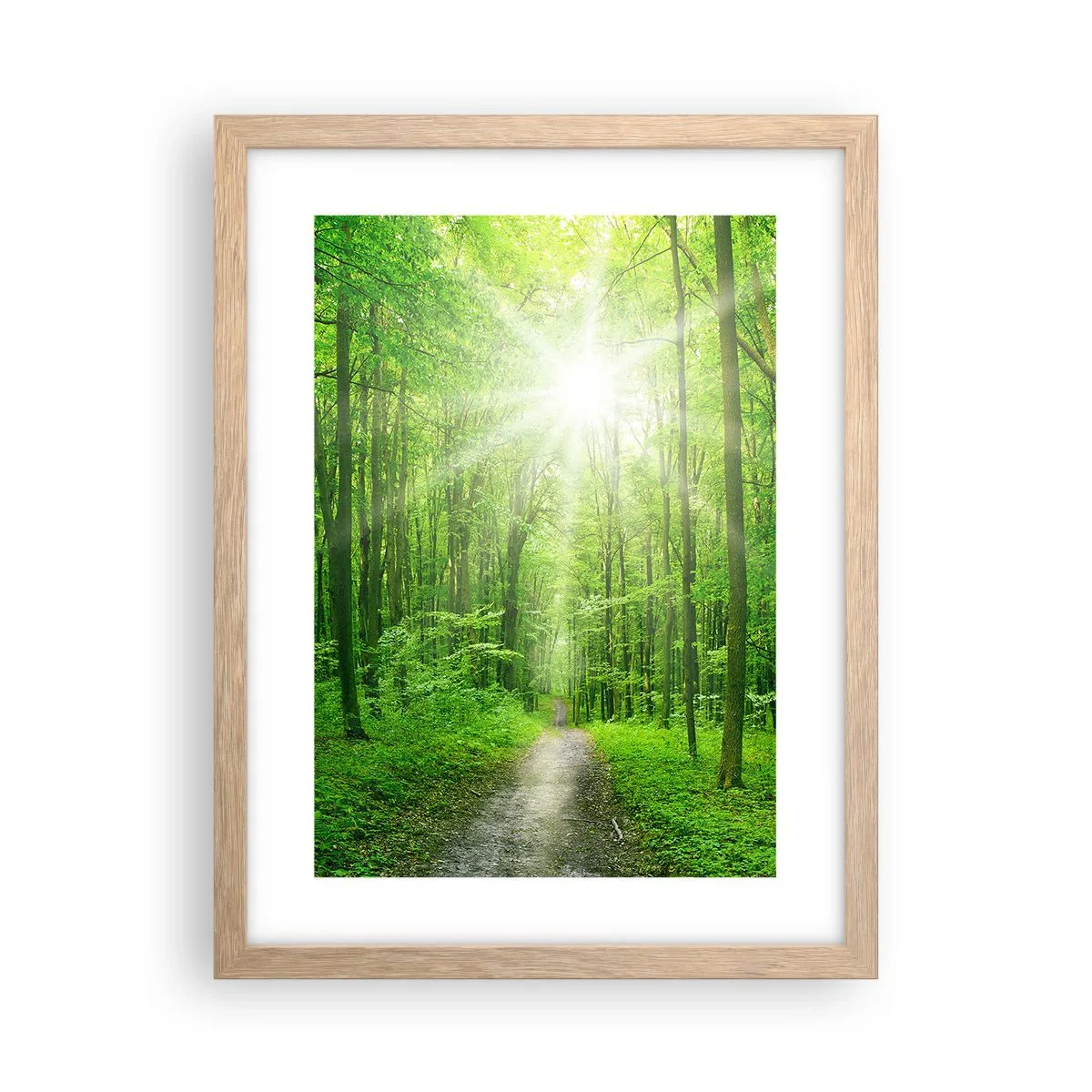 Een poster in een licht eiken lijst - De groene kathedraal - 30x40 cm