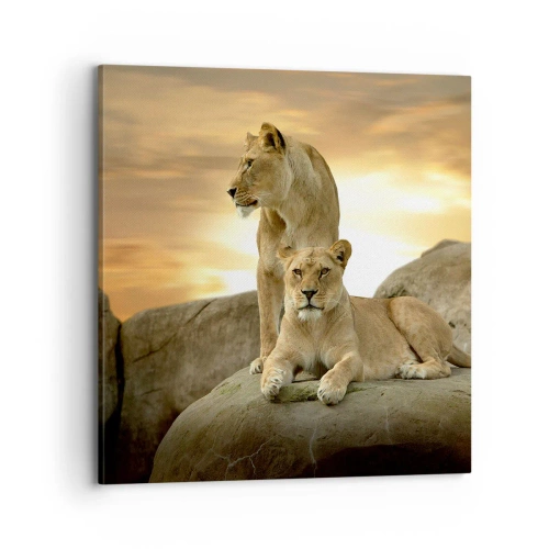 Schilderen op canvas - Koninklijke majesteit - 70x70 cm