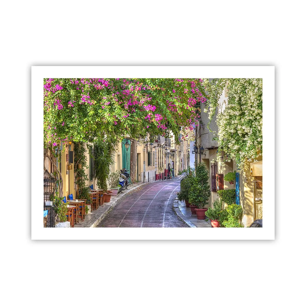 Poster - Bloeiende steeg - 70x50 cm