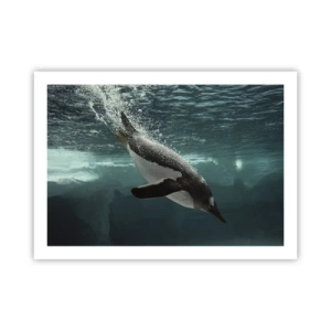 Poster - Welkom in mijn wereld - 70x50 cm