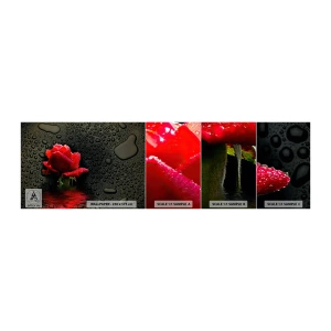 Fotobehang Monster Zelfklevend Deluxe Sticker - Rood en zwart - Bloemen, Roos, Water - 100x30 cm