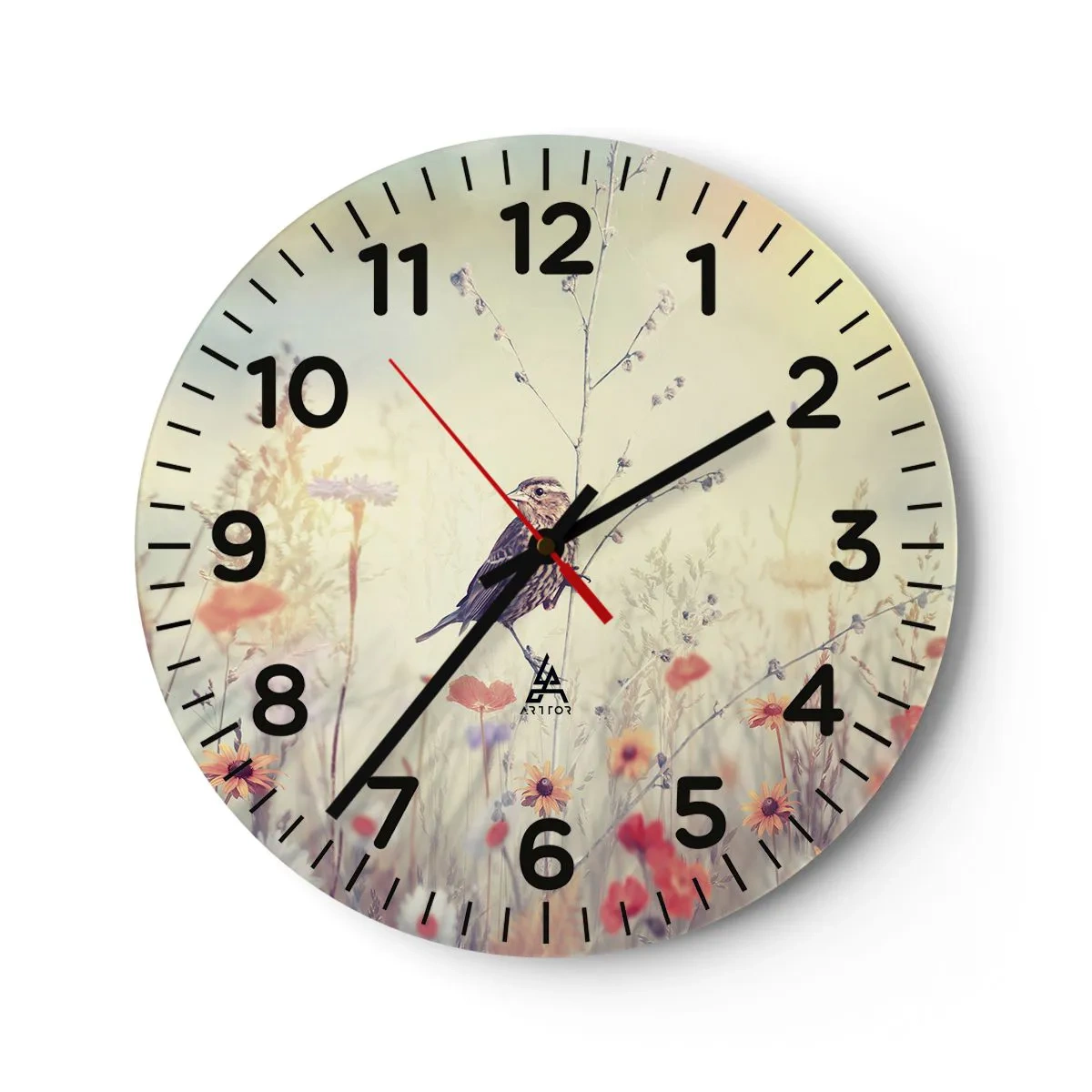 Wandklok - Klok - Vogelportret met een weiland op de achtergrond - 40x40 cm