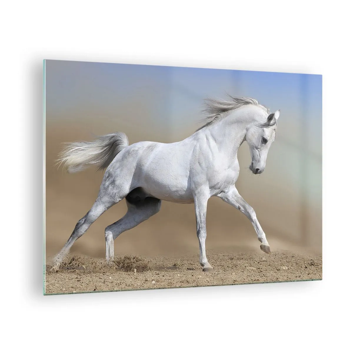 Schilderen op glas - Een wit paard galoppeert over de zanderige grond - 70x50cm - Het mooiste Arabische sprookje - Moderne wanddecoratie voor woonkamer en slaapkamer ARTTOR