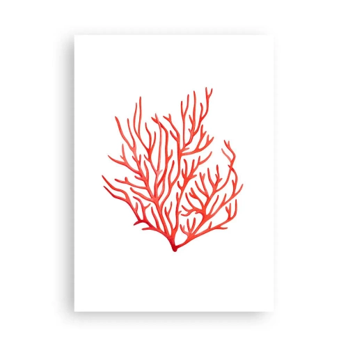 Poster - Koraal filigraan - 50x70 cm