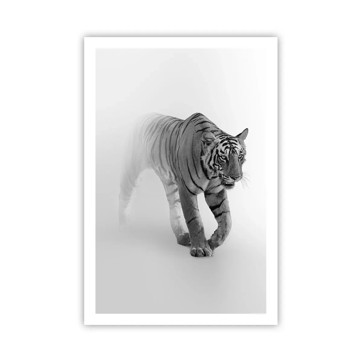 Poster - Gehurkt in de mist - 61x91 cm