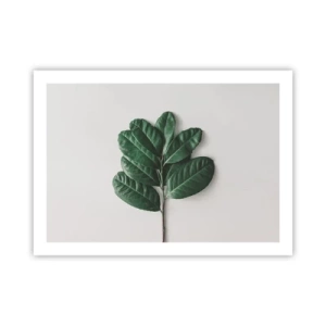 Poster - Een tekening van de pure natuur - 70x50 cm