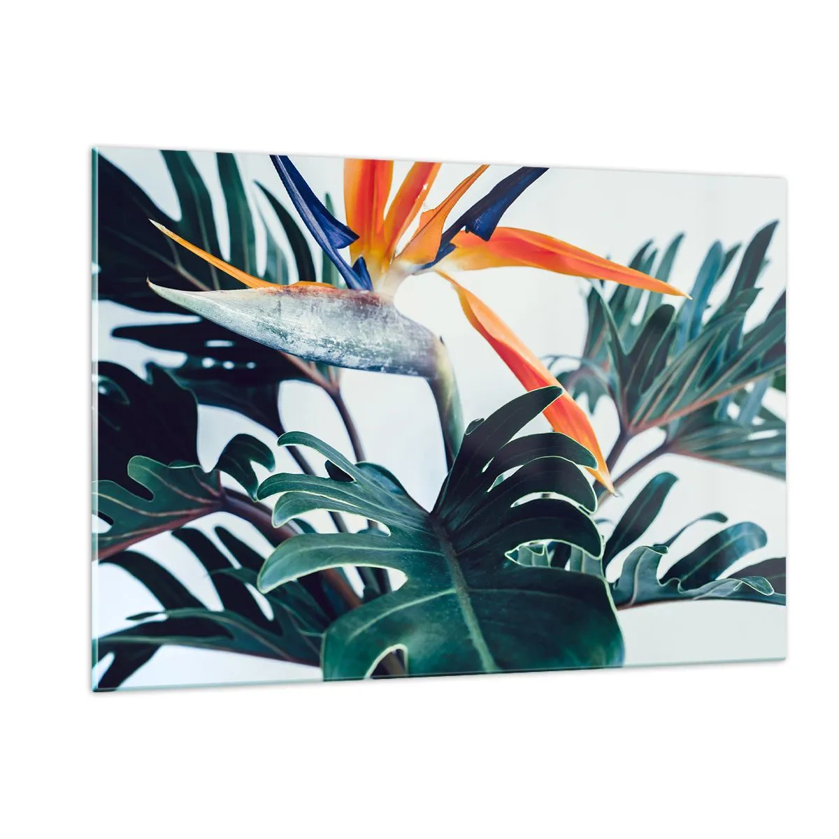 Schilderen op glas - Vogelstruik - 120x80 cm