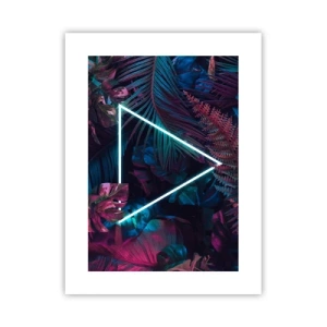 Poster - Disco-achtige tuin - 30x40 cm