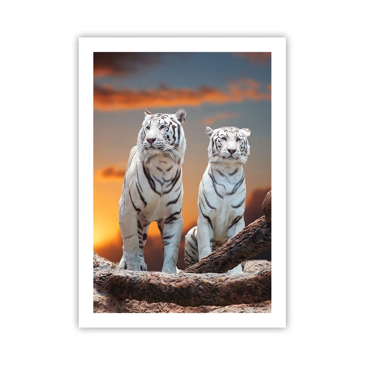 Poster - Net als in Narnia - 50x70 cm