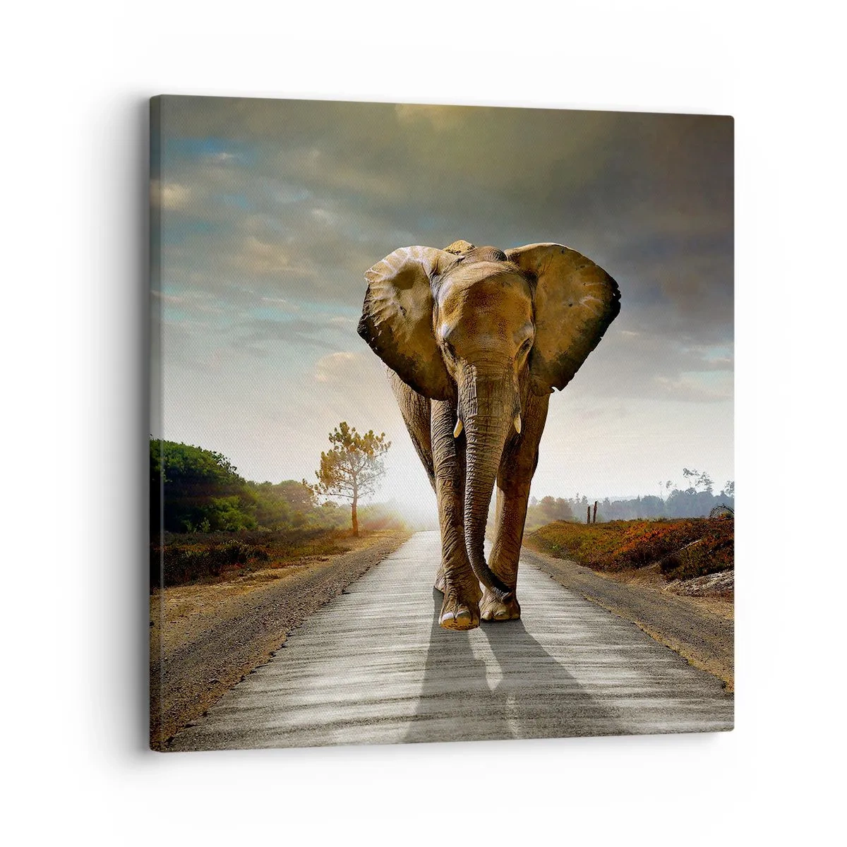 Schilderen op canvas - En helemaal niet in een porseleinen pakhuis - 30x30 cm