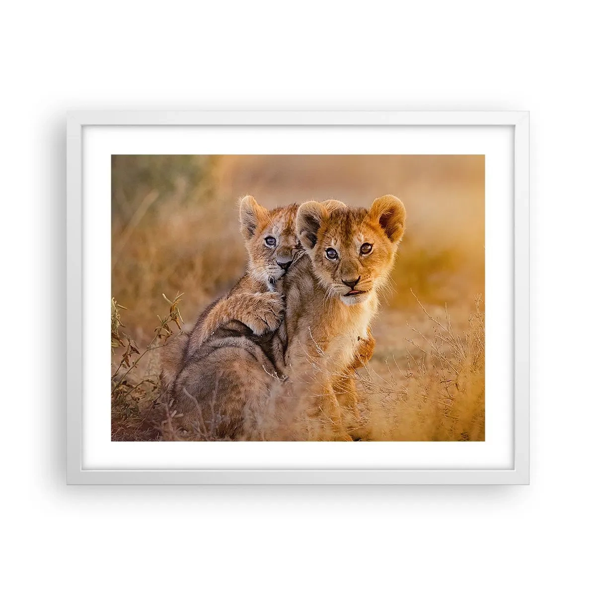 Poster in een witte lijst - Niet storen! We hebben plezier - 50x40 cm