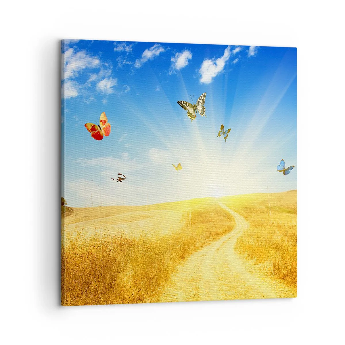 Schilderen op canvas - En hoe kun je niet van de zomer houden? - 60x60 cm