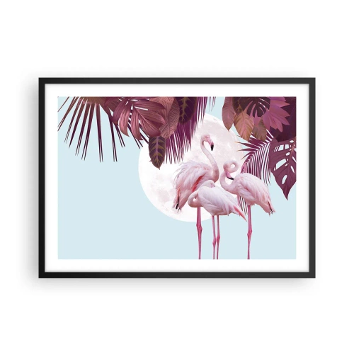 Poster in een zwarte lijst - Drie vogel genaden - 70x50 cm