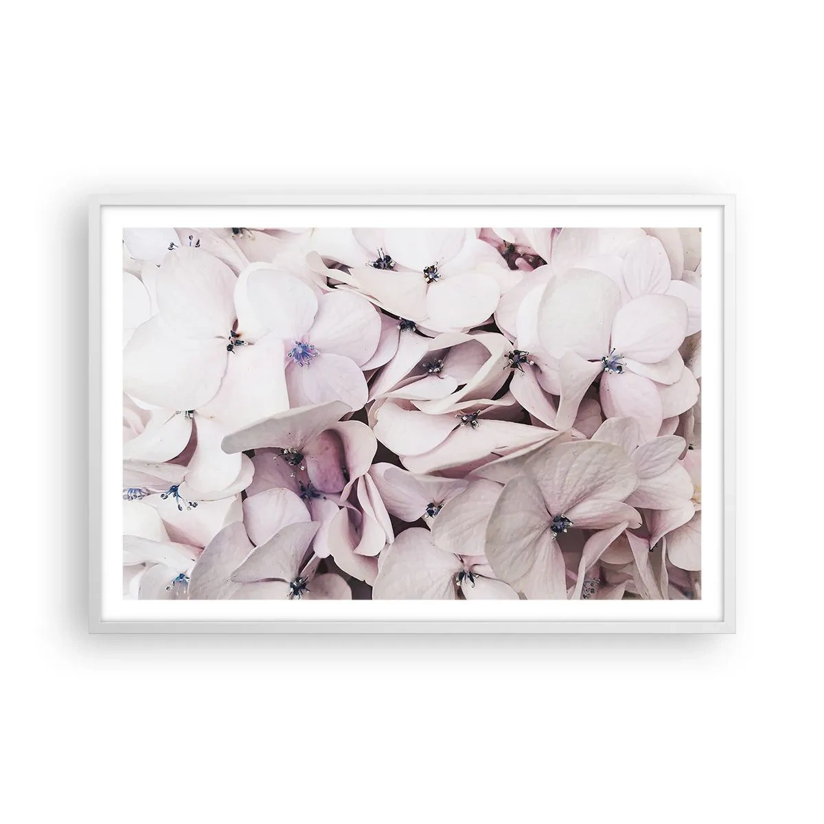 Poster in een witte lijst - In een vloed van bloemen - 91x61 cm