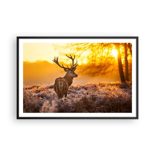 Poster in een zwarte lijst - Koning van het herfstbos - 91x61 cm