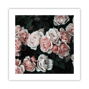 Poster - Rozen ensemble - 40x40 cm