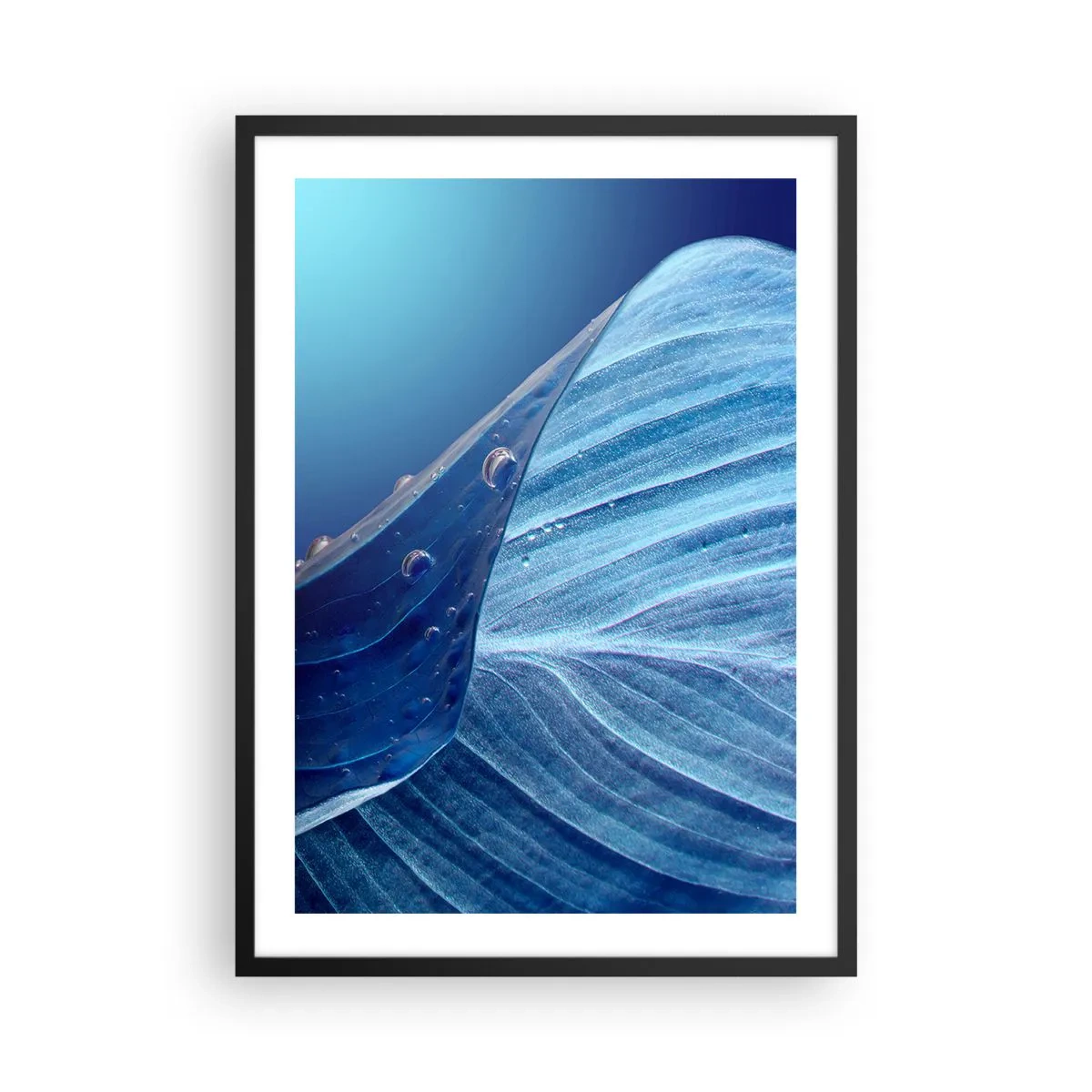 Poster in een zwarte lijst - Een blad met waterdruppels in tinten blauw - 50x70cm - Verborgen druppels blauw - Moderne wanddecoratie voor woonkamer en slaapkamer ARTTOR