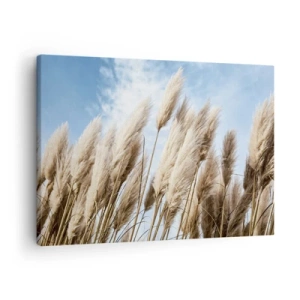 Schilderen op canvas - Delicate pampasgrassen tegen een blauwe lucht met lichte wolken - 70x50cm - Zonnige en winderige streling - Moderne wanddecoratie voor woonkamer en slaapkamer ARTTOR
