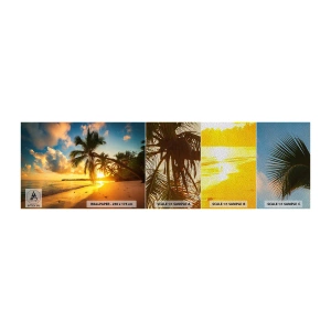 Fotobehang Monster Premium Sand - Caribische droom - Landschap, Kokospalm, Zee - 100x30 cm