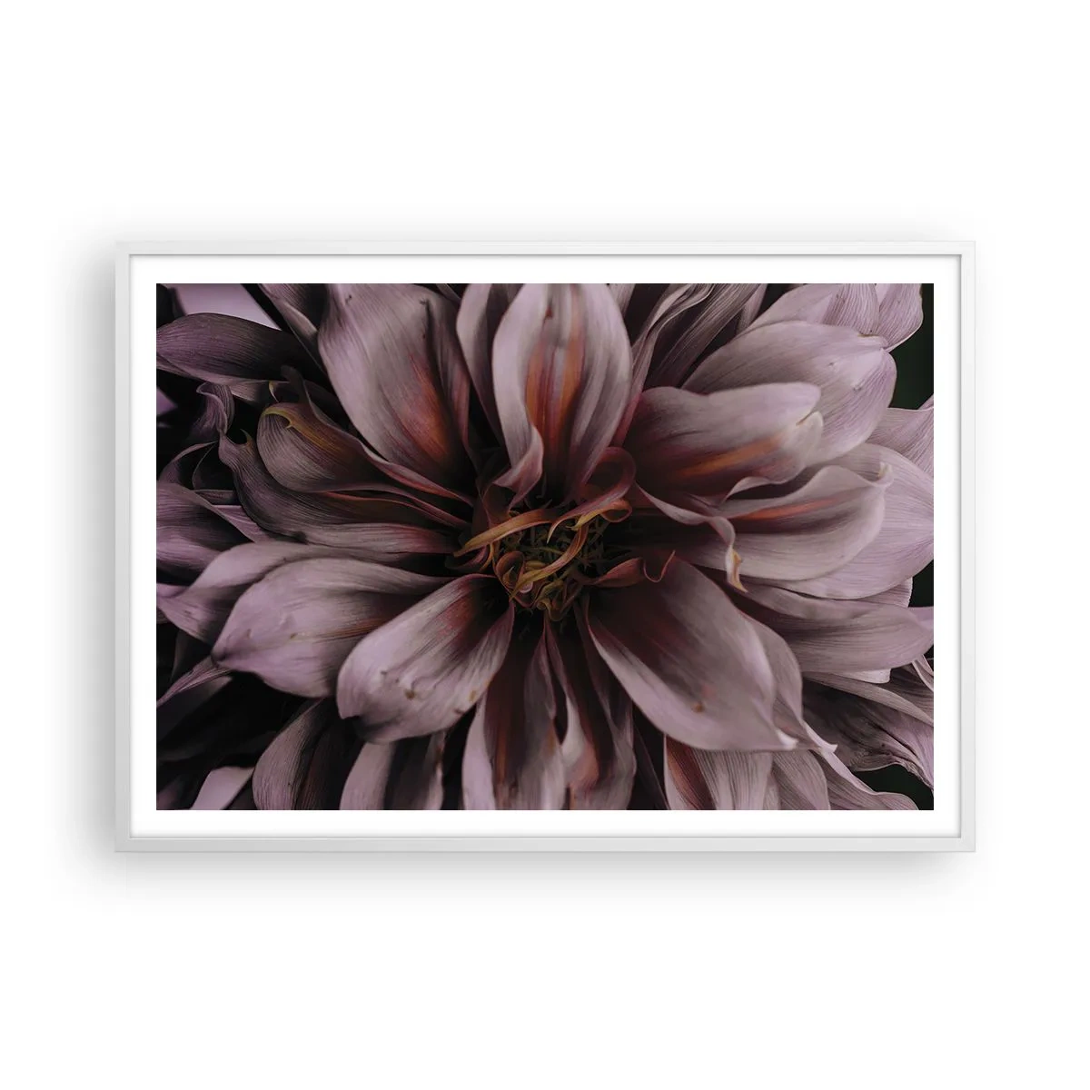 Poster in een witte lijst - Een bloemenhart - 100x70 cm