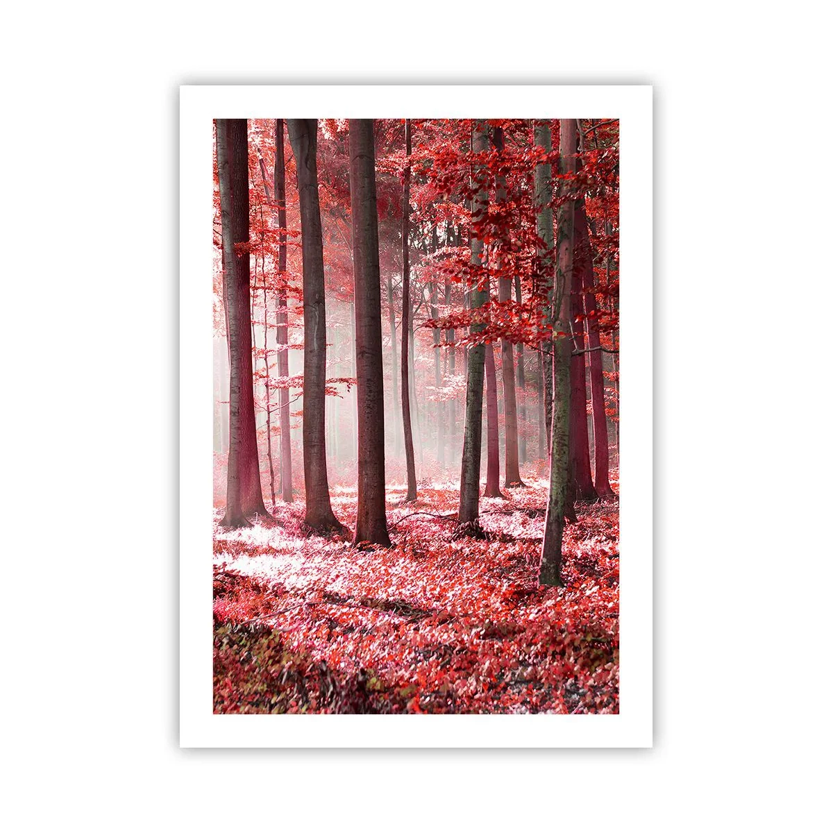 Poster - Rood is net zo mooi - 50x70 cm