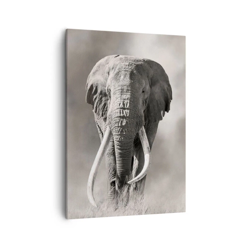 Schilderen op canvas - Afrikaanse patriarch - 50x70 cm