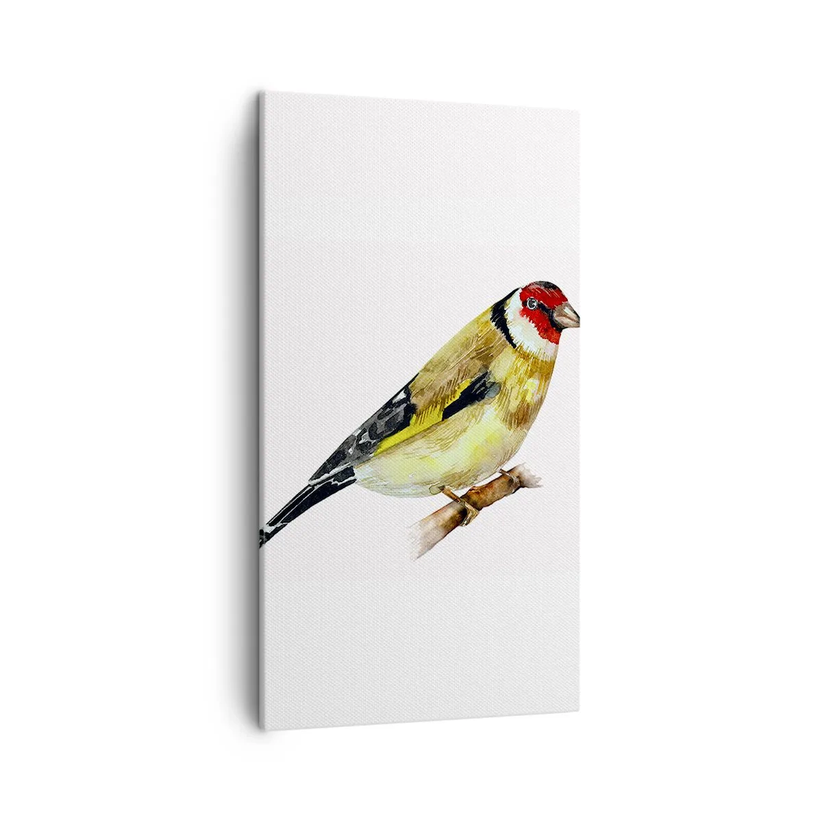 Schilderen op canvas - Vogel portret - 45x80 cm