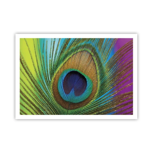 Poster - Oog in oog - 100x70 cm
