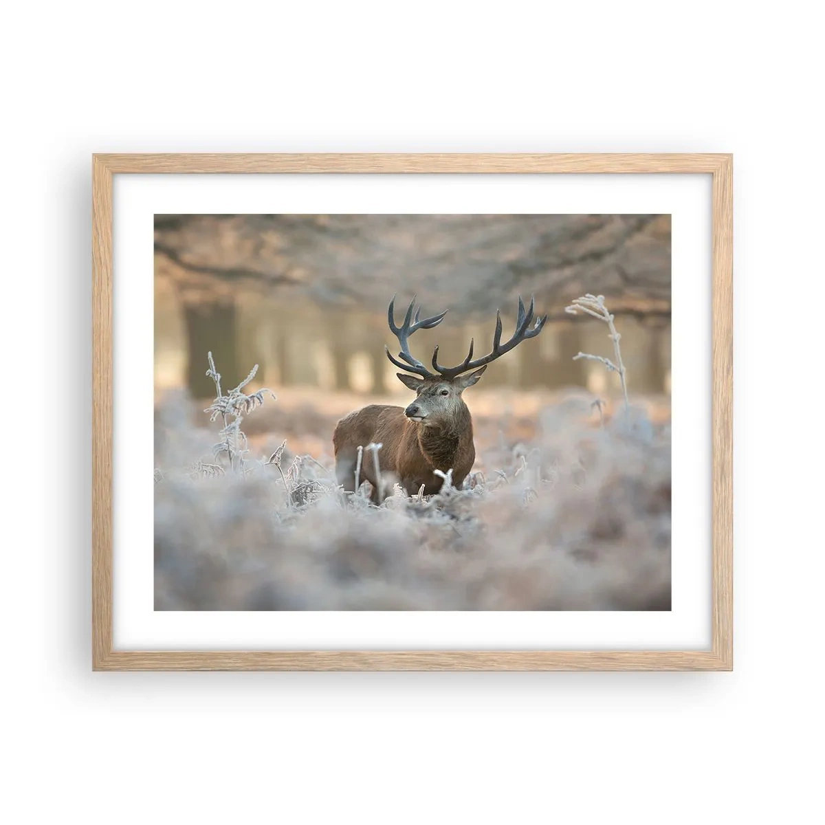 Een poster in een licht eiken lijst - Een frisse ochtend - 50x40 cm