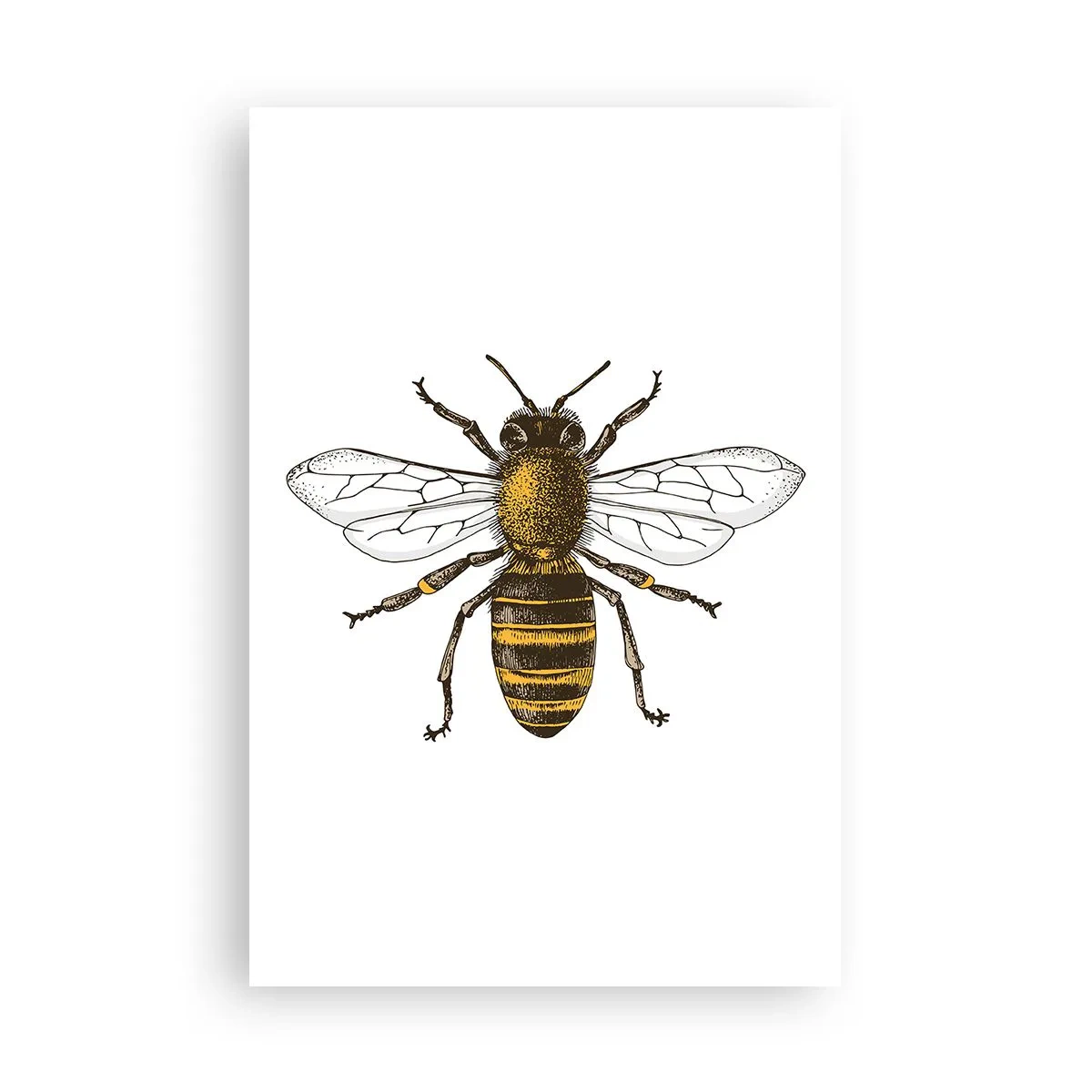 Poster - Mooi en goed - 61x91 cm