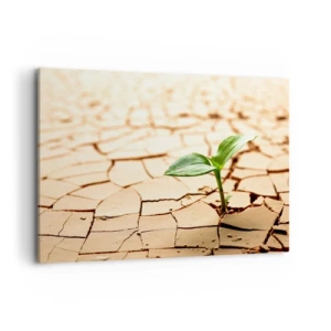 Schilderen op canvas - De ontembare kracht van het leven - 100x70 cm