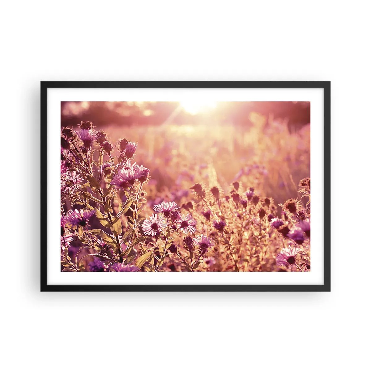 Poster in een zwarte lijst - Voordat de zomer voorbij is - 70x50 cm