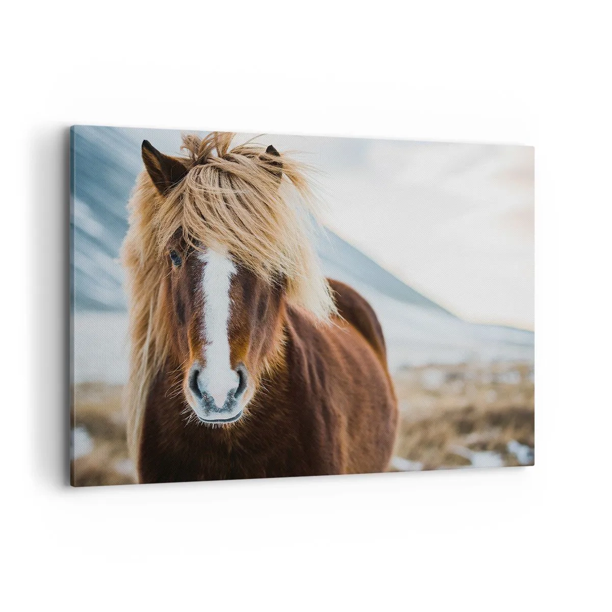 Schilderen op canvas - Voel jij je vrij? - 100x70 cm