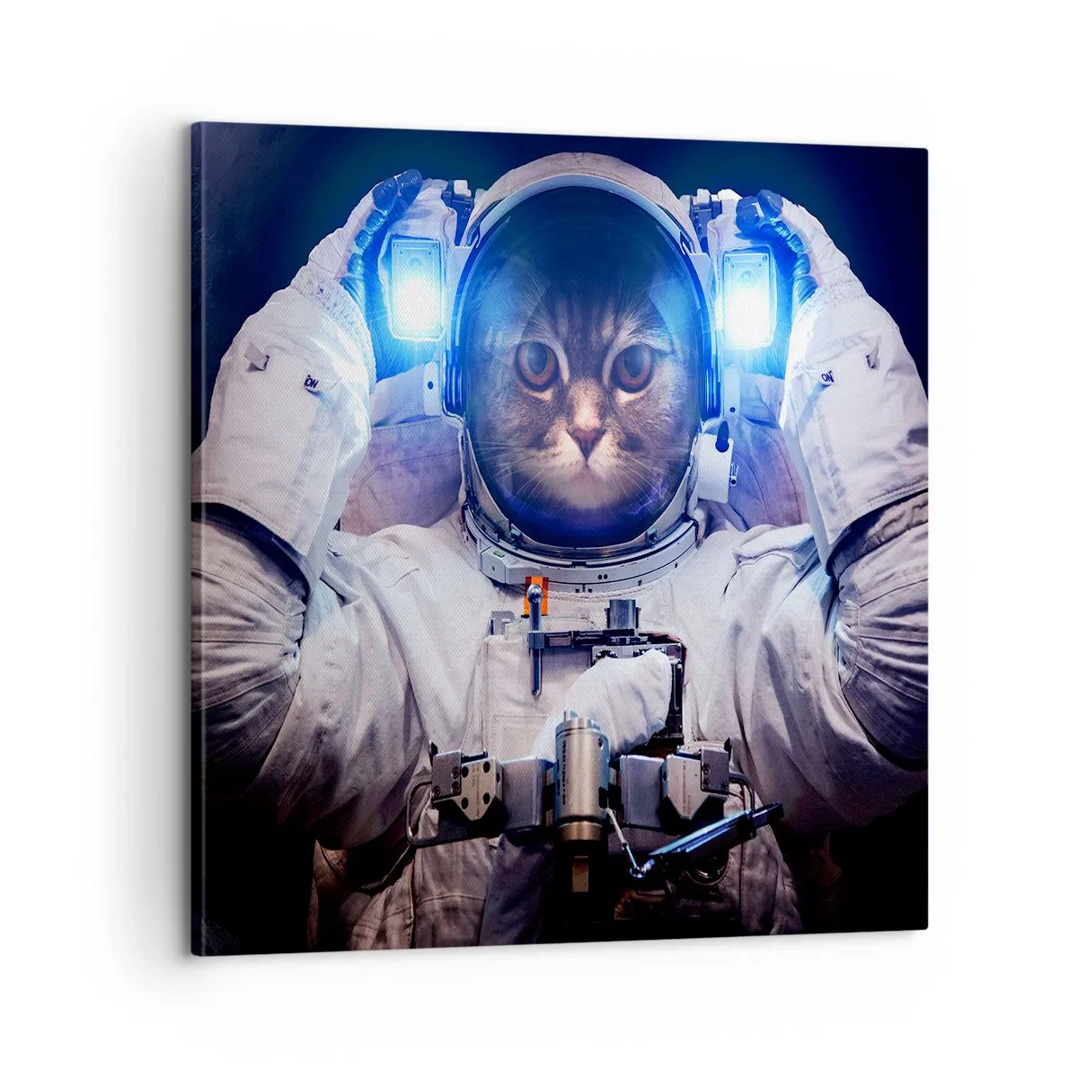 Schilderen op canvas - Houston, je hebt een probleem - 60x60 cm