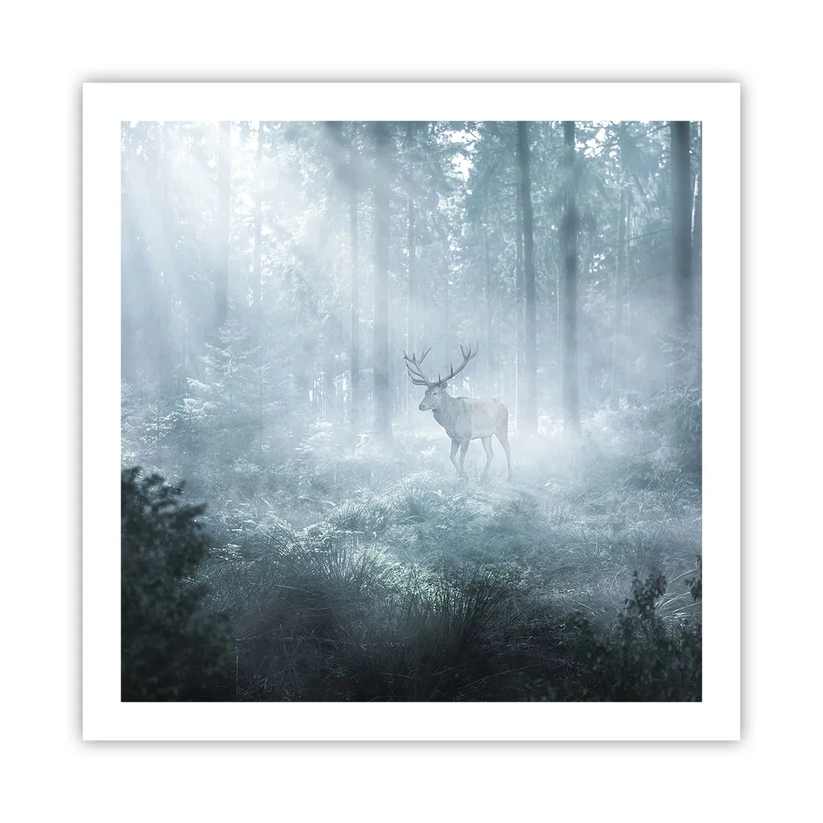 Poster - Ochtendbezoek aan het landgoed - 60x60 cm