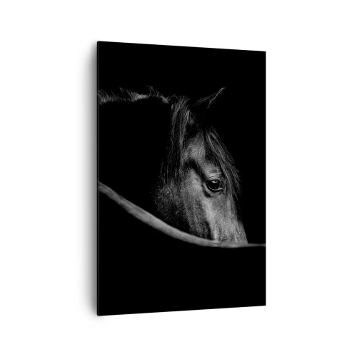 Schilderen op canvas - Zwarte Prins - 70x100 cm