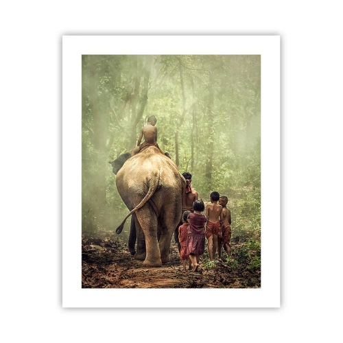 Poster - Nieuw Jungle Boek - 40x50 cm