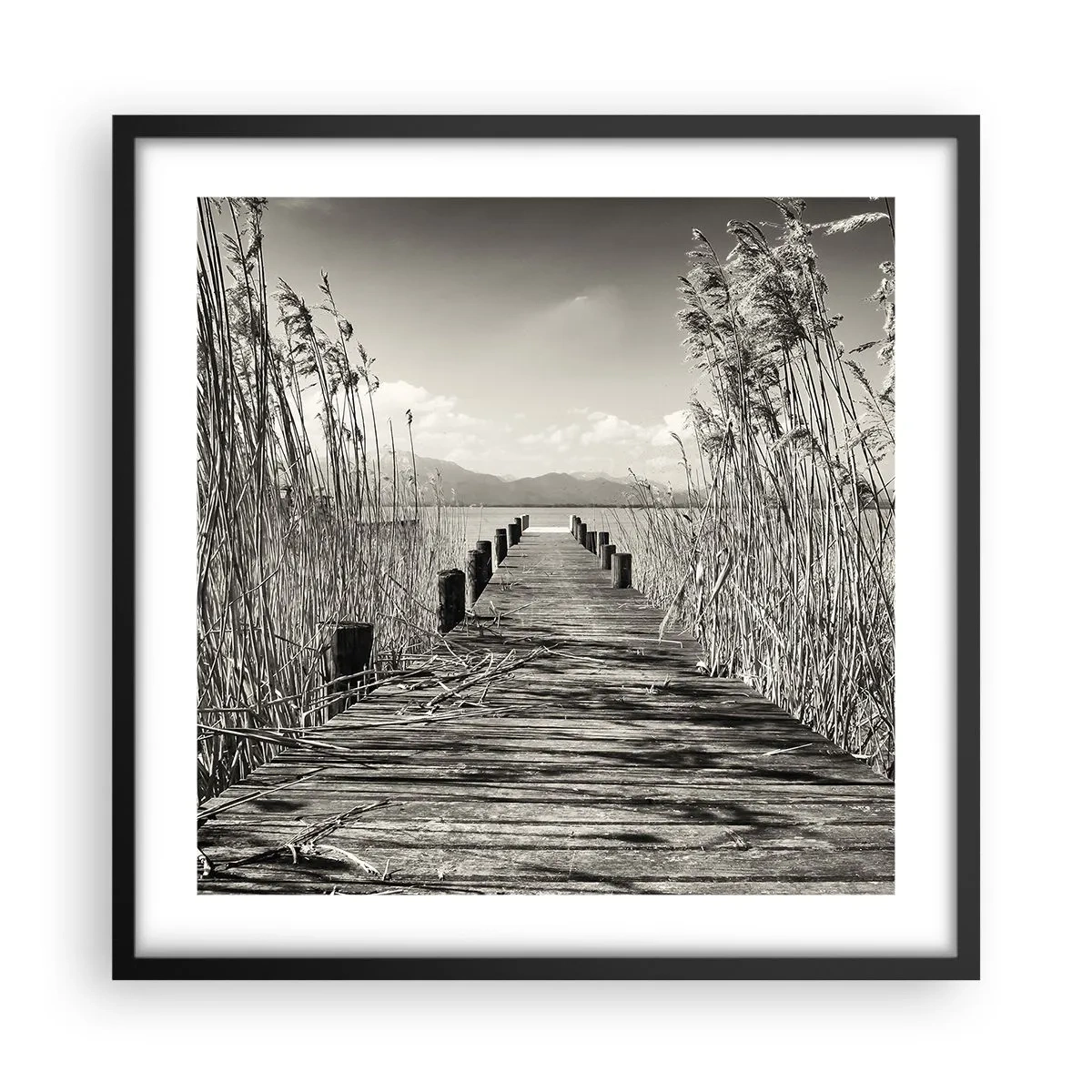 Poster in een zwarte lijst - In de stilte van het gras - 50x50 cm