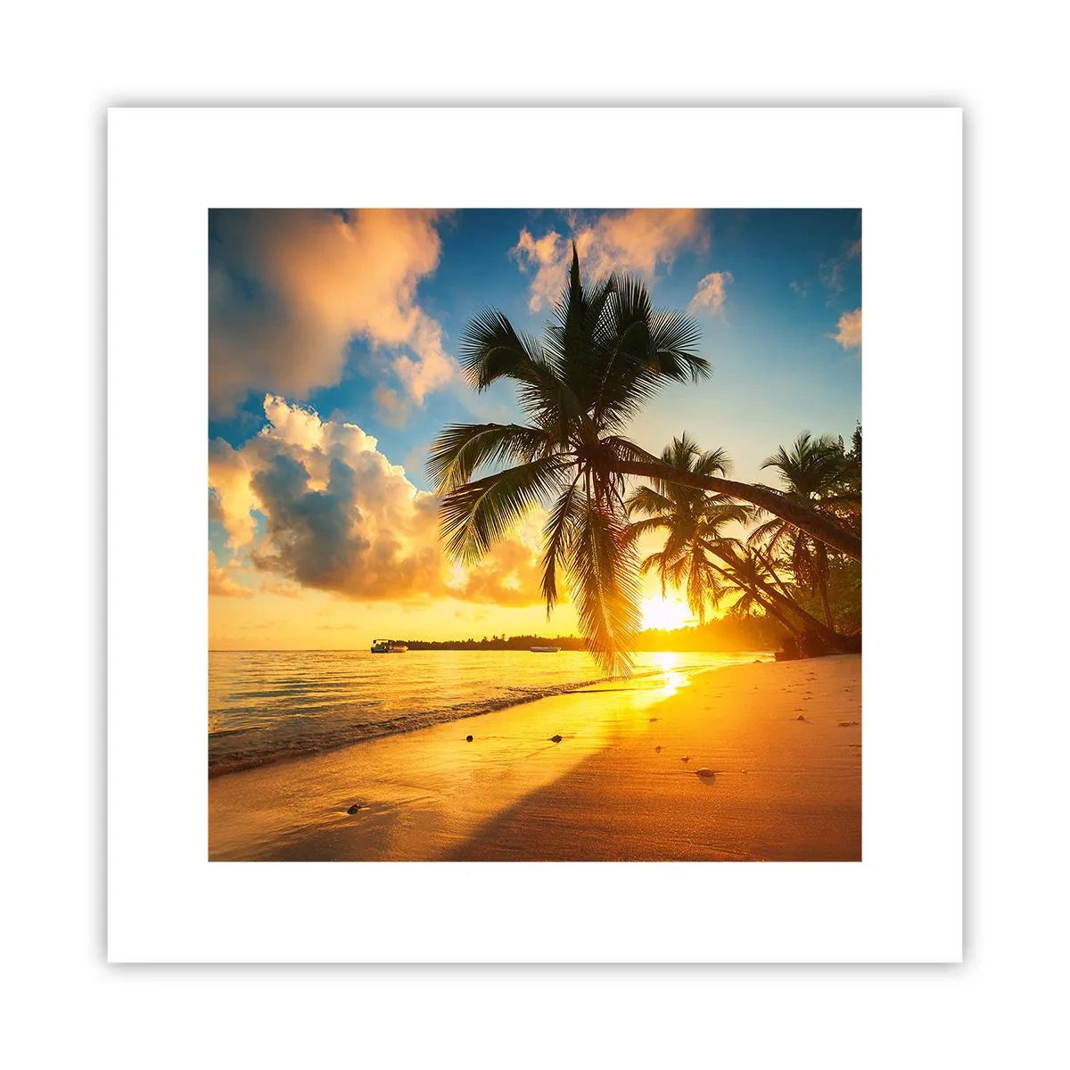 Poster - Caribische droom - 30x30 cm