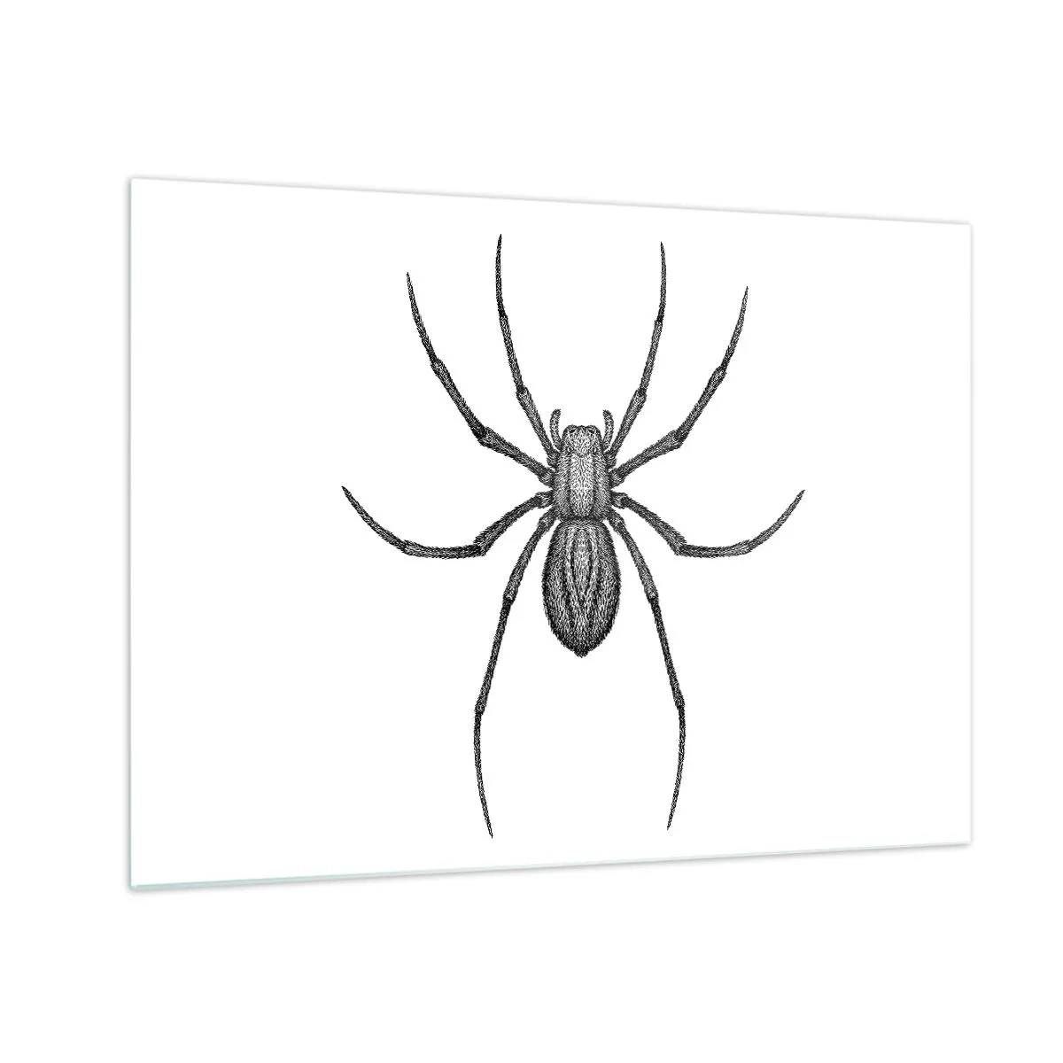 Schilderen op glas - Retro-stijl illustratie van een zwarte spin op een witte achtergrond - 70x50cm - Verontrustende precisie - Moderne wanddecoratie voor woonkamer en slaapkamer ARTTOR