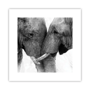 Poster - Oprechte bekentenis - 30x30 cm