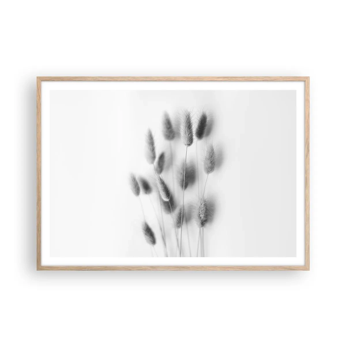 Een poster in een licht eiken lijst - Haar luchtigheid gras - 100x70 cm