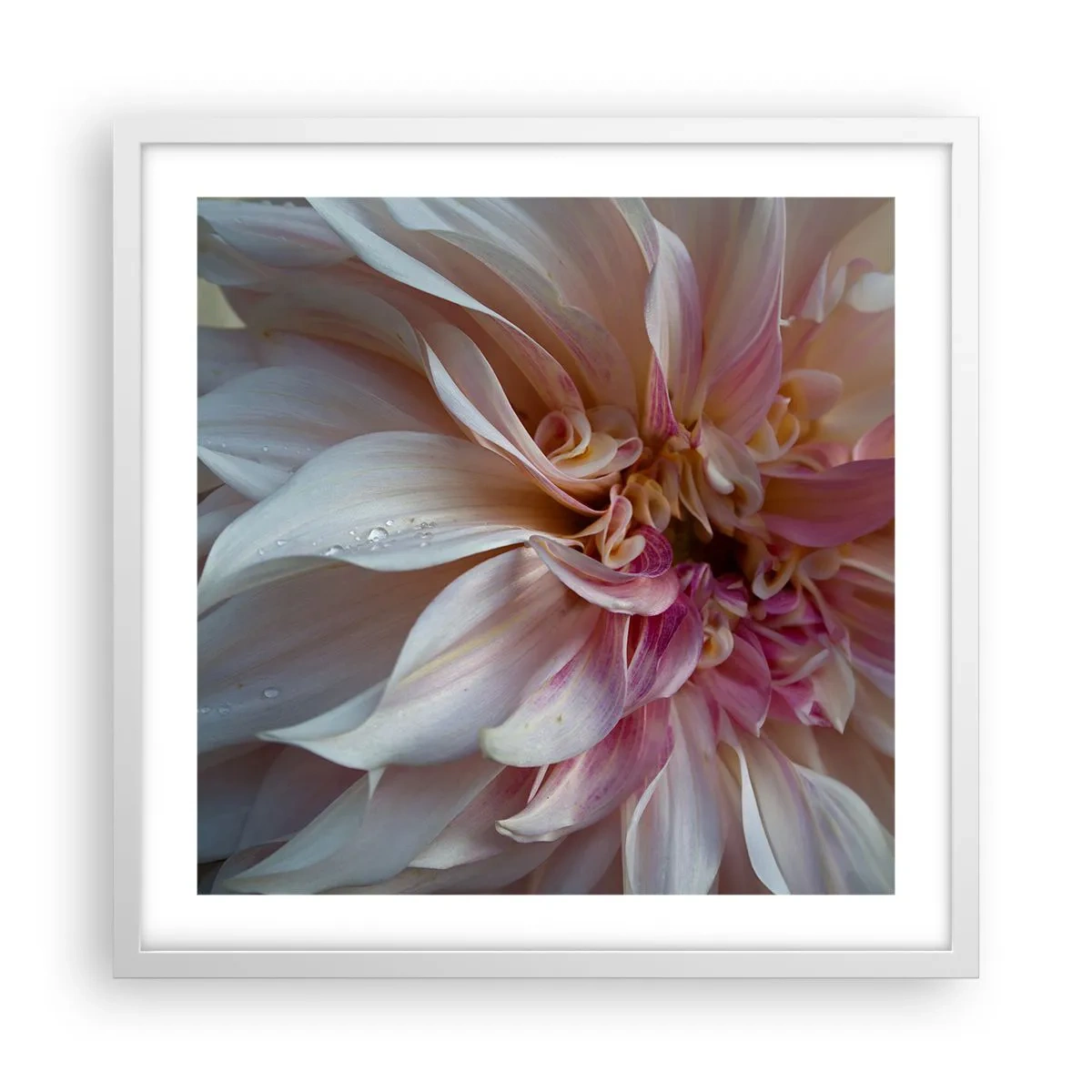 Poster in een witte lijst - Bloeiende frisheid - 50x50 cm